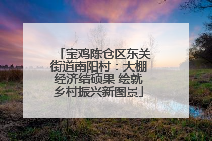 宝鸡陈仓区东关街道南阳村：大棚经济结硕果 绘就乡村振兴新图景