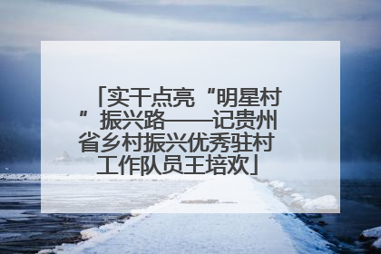 实干点亮“明星村”振兴路——记贵州省乡村振兴优秀驻村工作队员王培欢