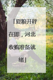 夏粮开秤在即，河北收购准备就绪