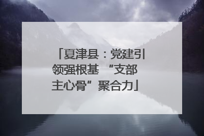 夏津县：党建引领强根基 “支部主心骨”聚合力