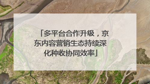 多平台合作升级，京东内容营销生态持续深化种收协同效率