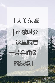 大美东城｜雨歇时分，这里藏着一片会呼吸的绿境