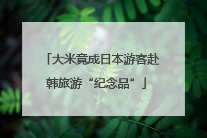 大米竟成日本游客赴韩旅游“纪念品”