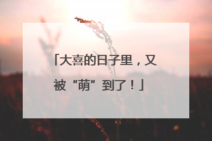 大喜的日子里，又被“萌”到了！
