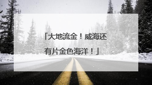 大地流金！威海还有片金色海洋！