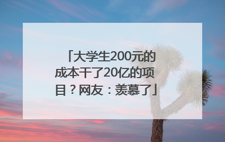 大学生200元的成本干了20亿的项目？网友：羡慕了