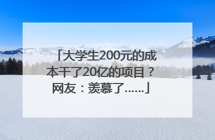 大学生200元的成本干了20亿的项目？网友：羡慕了……