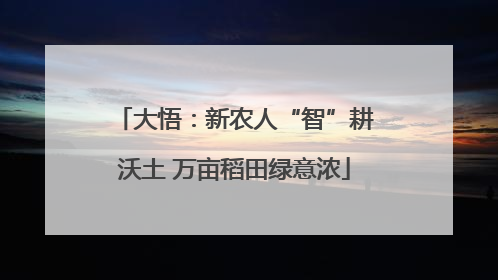 大悟：新农人“智”耕沃土 万亩稻田绿意浓
