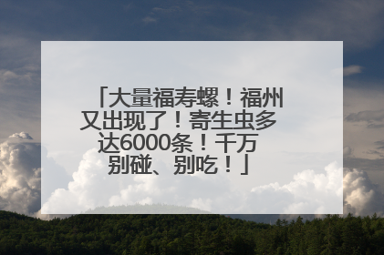 大量福寿螺！福州又出现了！寄生虫多达6000条！千万别碰、别吃！