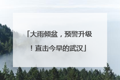 大雨倾盆，预警升级！直击今早的武汉