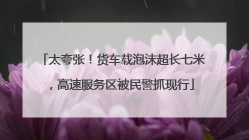 太夸张！货车载泡沫超长七米，高速服务区被民警抓现行