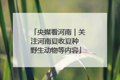 央媒看河南｜关注河南夏收夏种 野生动物等内容