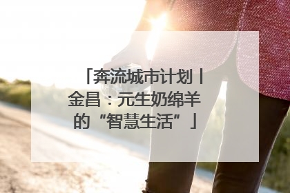 奔流城市计划丨金昌：元生奶绵羊的“智慧生活”