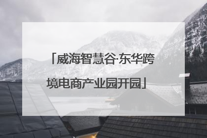 威海智慧谷·东华跨境电商产业园开园