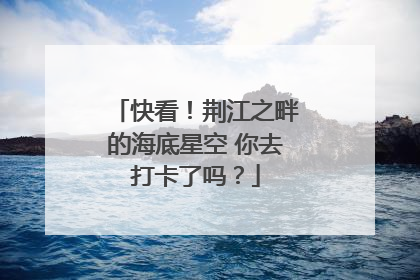 快看！荆江之畔的海底星空 你去打卡了吗？