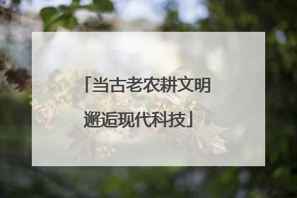 当古老农耕文明邂逅现代科技