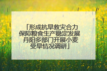 形成抗旱救灾合力 保障粮食生产稳定发展 丹阳多部门开展小麦受旱情况调研