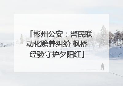 彬州公安：警民联动化赡养纠纷 枫桥经验守护夕阳红