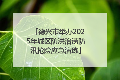 德兴市举办2025年城区防洪治涝防汛抢险应急演练