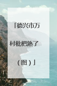德兴市万村枇杷熟了（图）