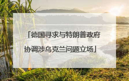 德国寻求与特朗普政府协调涉乌克兰问题立场