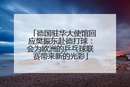 德国驻华大使馆回应樊振东赴德打球：会为欧洲的乒乓球联赛带来新的光彩