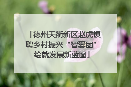 德州天衢新区赵虎镇聘乡村振兴“智囊团” 绘就发展新蓝图