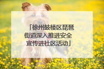 徐州鼓楼区琵琶街道深入推进安全宣传进社区活动