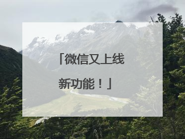 微信又上线新功能！