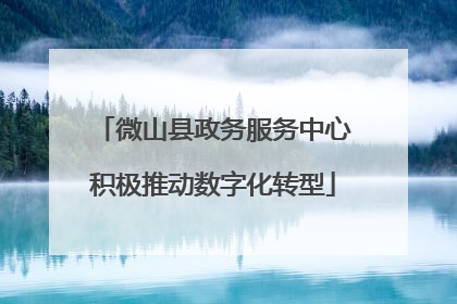 微山县政务服务中心积极推动数字化转型