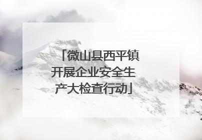 微山县西平镇开展企业安全生产大检查行动
