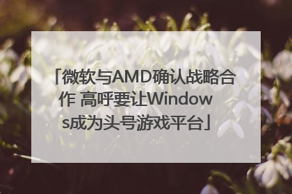 微软与AMD确认战略合作 高呼要让Windows成为头号游戏平台