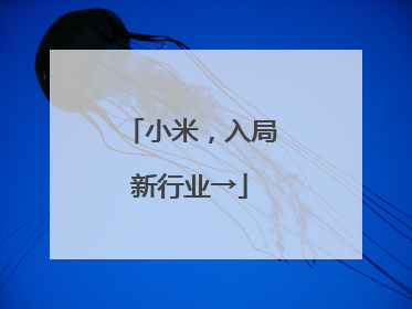小米，入局新行业→