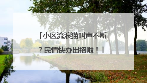 小区流浪猫叫声不断？民情快办出招啦！