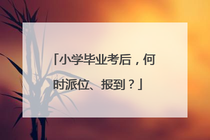 小学毕业考后，何时派位、报到？
