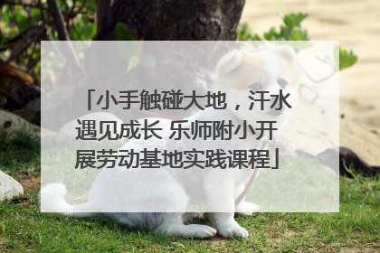 小手触碰大地，汗水遇见成长 乐师附小开展劳动基地实践课程