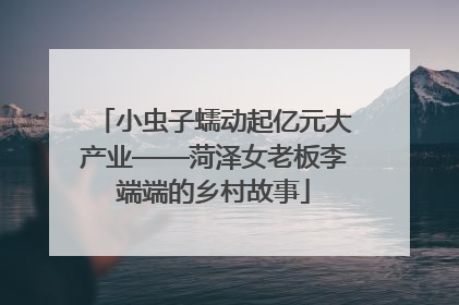 小虫子蠕动起亿元大产业——菏泽女老板李端端的乡村故事