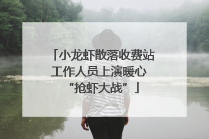 小龙虾散落收费站 工作人员上演暖心“抢虾大战”