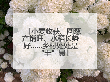 小麦收获、圆葱产销旺、水稻长势好……乡村处处是“丰”景