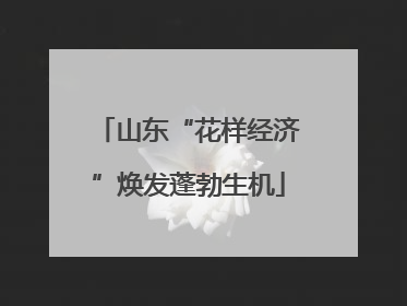山东“花样经济”焕发蓬勃生机