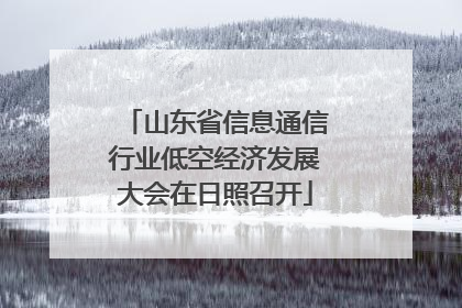 山东省信息通信行业低空经济发展大会在日照召开