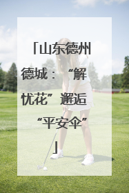 山东德州德城：“解忧花”邂逅“平安伞”