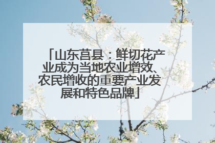山东莒县：鲜切花产业成为当地农业增效、农民增收的重要产业发展和特色品牌