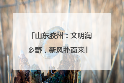 山东胶州：文明润乡野，新风扑面来