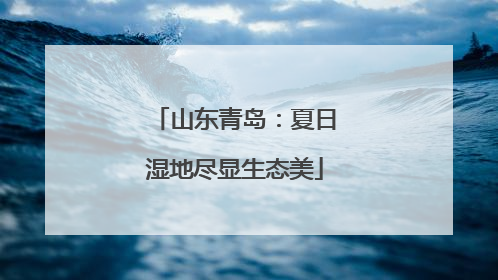山东青岛：夏日湿地尽显生态美