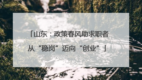 山东：政策春风助求职者 从“稳岗”迈向“创业”