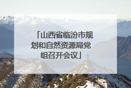 山西省临汾市规划和自然资源局党组召开会议