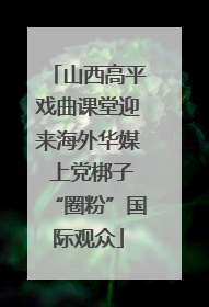 山西高平戏曲课堂迎来海外华媒 上党梆子“圈粉”国际观众