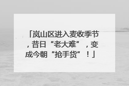 岚山区进入麦收季节，昔日“老大难”，变成今朝“抢手货”！