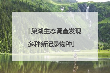 巢湖生态调查发现多种新记录物种